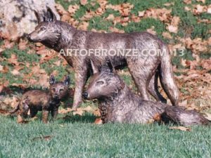 Coyote Family bronze coyote sculpture set for school mascot, universities, zoo or private home