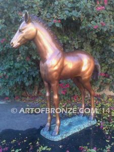 Precious bronze sculpture of standing foal, filly, colt and yearling horse for ranch or equestrian center