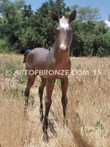 Chanel bronze sculpture of standing foal horse for ranch or equestrian center