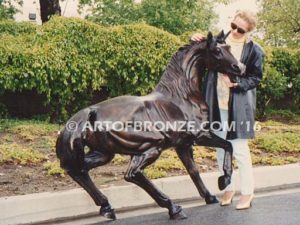 Arabian Stallion bronze sculpture being touched by lady