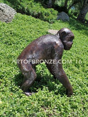 His Majesty bronze fine art gallery African wildlife walking chimpanzee ape sculpture