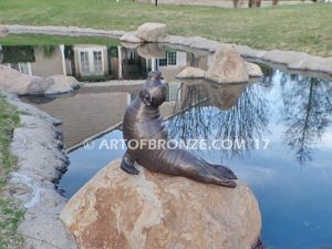 Sunbather bronze sea lion and seal mascot sculpture for zoo, university or school mascot