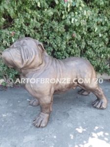 Chopper gallery quality custom bronze sculpted statue of 4 ft. long bulldog