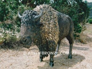 American Bison standing bronze bison monumental sculpture herd for school, corporate or private residence