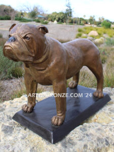 Champ gallery quality custom bronze statue of standing bulldog