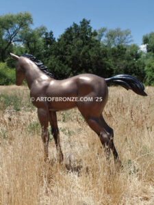 Chanel bronze statue of standing foal horse for ranch or equestrian center