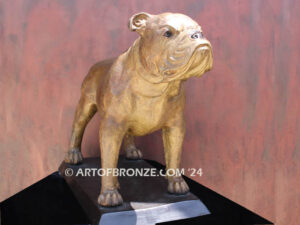 Champ gallery quality custom bronze statue of standing bulldog