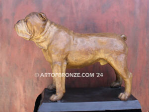 Champ gallery quality custom bronze statue of standing bulldog