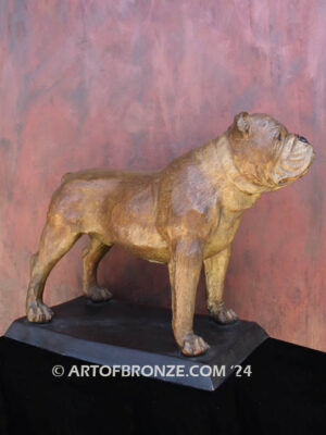 Champ gallery quality custom bronze statue of standing bulldog