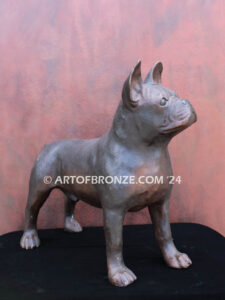 Frenchton gallery quality custom bronze statue of standing dog