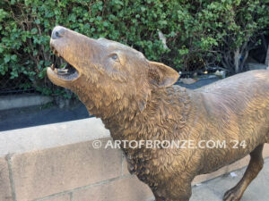 Echoes in the Night life-size standing coyote howling at the moon bronze sculpture