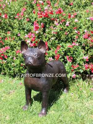 Frenchton gallery quality custom bronze statue of standing dog