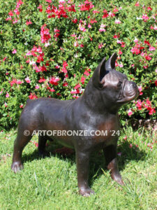 Frenchton gallery quality custom bronze statue of standing dog