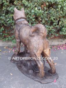 Ready and Waiting bronze statue of Alaskan Malamute waiting to go on walk