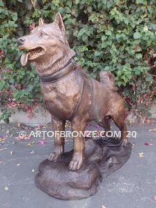 Ready and Waiting bronze statue of Alaskan Malamute waiting to go on walk