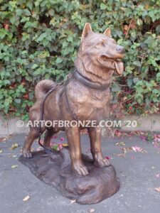 Ready and Waiting bronze statue of Alaskan Malamute waiting to go on walk