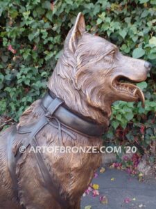 Ready and Waiting bronze statue of Alaskan Malamute waiting to go on walk