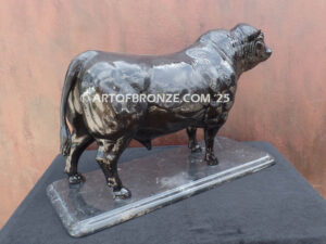 Brangus bull beef cattle bronze statue for indoor home or office display