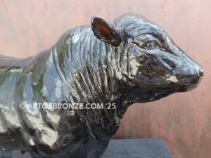 Brangus bull beef cattle bronze statue for indoor home or office display